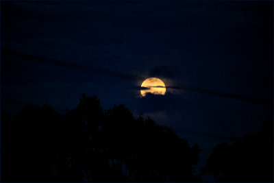 Earth Day moonrise.jpg