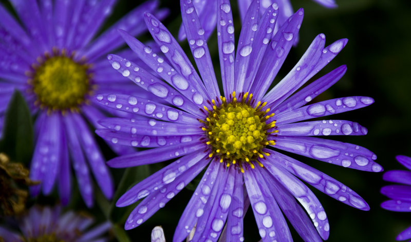 After The Rain