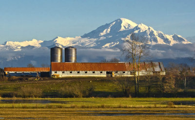 A Winter Farm