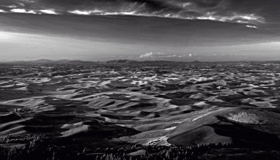 Palouse Panorama in B&W