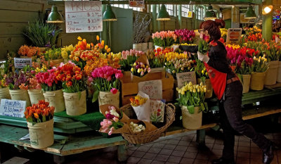 Market Tulips