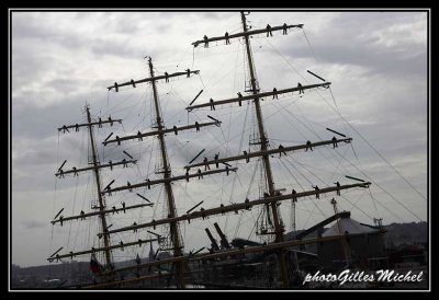 Armada2013-1319.jpg