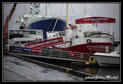 isl2013-Reykjavik0003.jpg