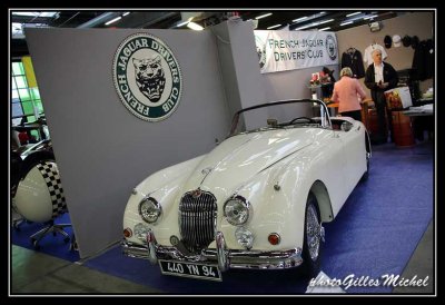 automedon2013-075.jpg