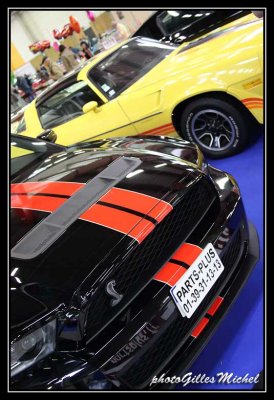 automedon2013-181.jpg