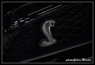 automedon2013-182.jpg