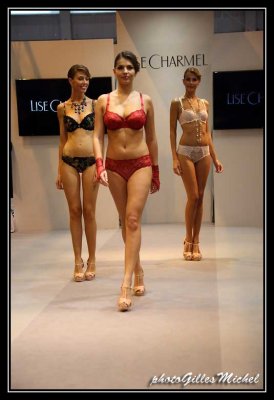 lingerie012014-0724.jpg