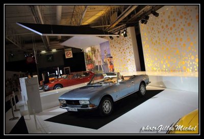 Automondial2014-0979.jpg