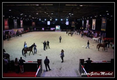 Cheval2014-0209.jpg