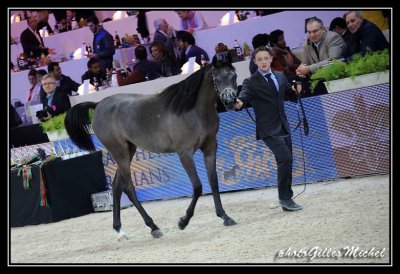 Cheval2014-0021.jpg