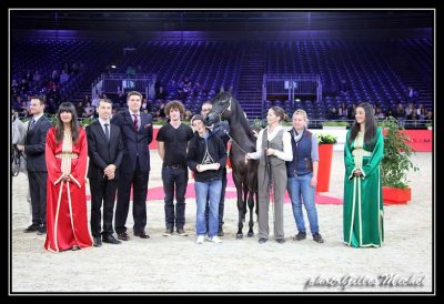 Cheval2014-0079.jpg