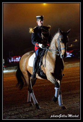 Cheval2014-0223a.jpg