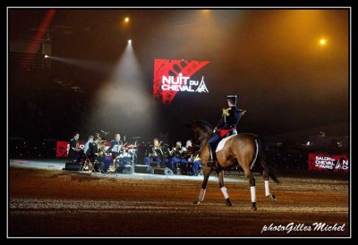 Cheval2014-0224a.jpg