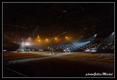 Cheval2014-0226a.jpg