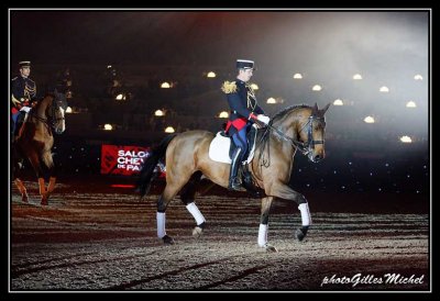 Cheval2014-0247a.jpg