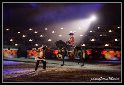 Cheval2014-0254a.jpg