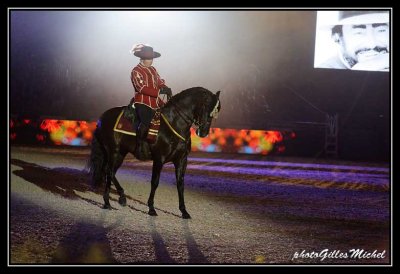 Cheval2014-0255a.jpg
