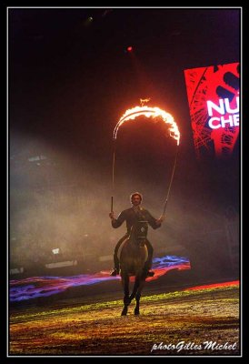 Cheval2014-0278a.jpg