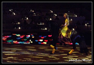 Cheval2014-0284a.jpg