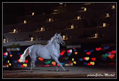 Cheval2014-0294a.jpg