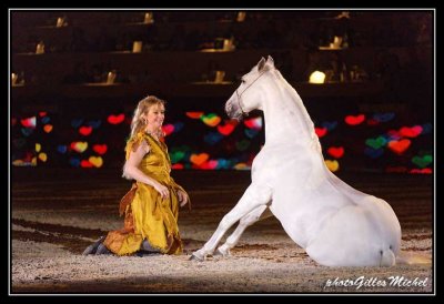 Cheval2014-0309a.jpg
