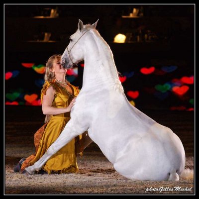 Cheval2014-0310a.jpg
