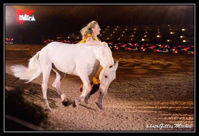 Cheval2014-0315a.jpg