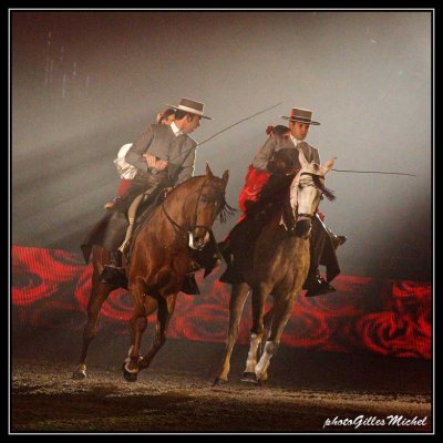 Cheval2014-0344a.jpg