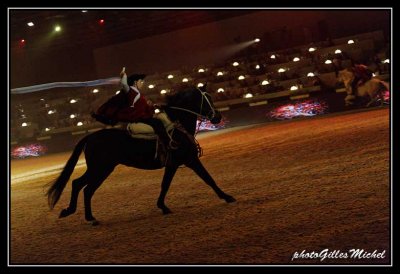 Cheval2014-0395a.jpg