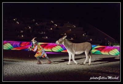 Cheval2014-0409a.jpg