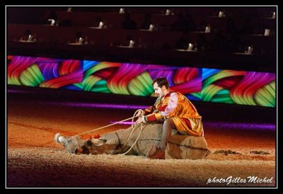 Cheval2014-0413a.jpg