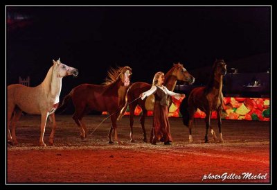 Cheval2014-0445a.jpg