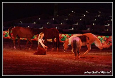 Cheval2014-0451a.jpg