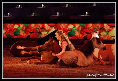 Cheval2014-0452a.jpg