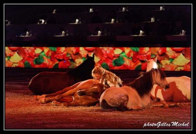 Cheval2014-0453a.jpg