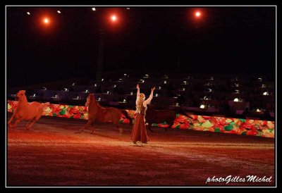 Cheval2014-0461a.jpg