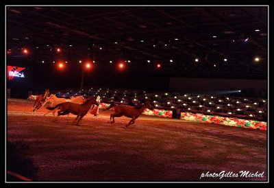 Cheval2014-0463a.jpg