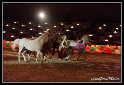 Cheval2014-0465a.jpg