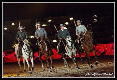 Cheval2014-0476a.jpg