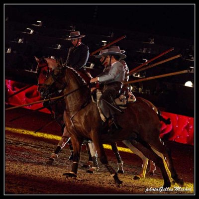 Cheval2014-0488a.jpg