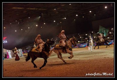 Cheval2014-0534a.jpg