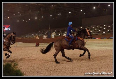 Cheval2014-0543a.jpg
