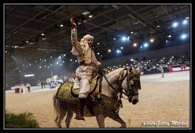 Cheval2014-0600a.jpg