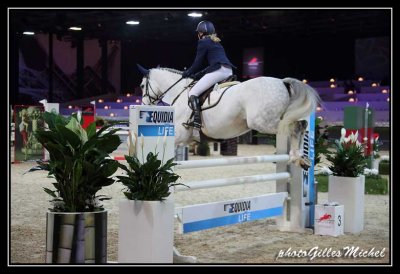 Cheval2014-0647.jpg