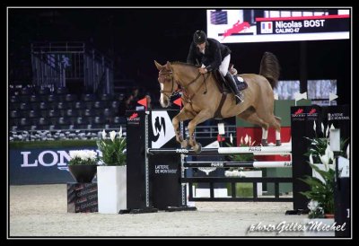Cheval2014-0684.jpg