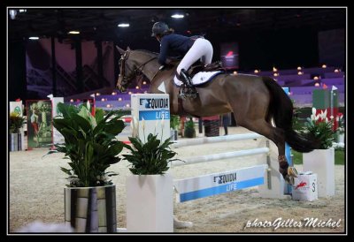 Cheval2014-0689.jpg