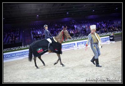 Cheval2014-1127.jpg