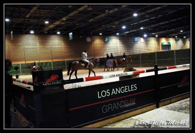 Cheval2014-1205.jpg