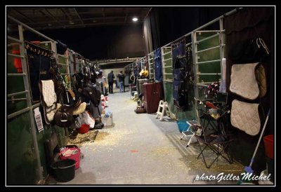 Cheval2014-1223.jpg