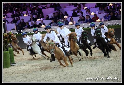 Cheval2014-1953.jpg